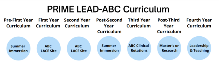 This image is a graphical representation of the language in the body copy below pertaining to the curriculum. Pre first year curriculum - summer immersion. First year currculum - ABC and LACE Site. Second year curriculum - ABC and LACE Site. Post-Second-Year curriculum - summer immersion. Third year curriculum - ABC Clinical rotations. Post-Third year Curriculum Master's or Research. Fourth-Year Curriculum - leadership and teaching
